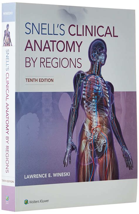 Snell Anatomy - Snell's Clinical Anatomy By Regions - 10th Edition — Get A Book