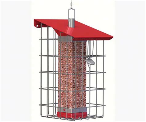 Peanut Bird Feeders | Whole or Shelled Peanut Feeders - The Birdhouse Chick