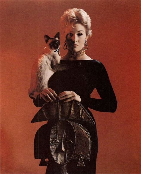 20 Lovely Photos of Kim Novak With Her Cat Pyewacket in “Bell, Book, And Candle” (1958 ...