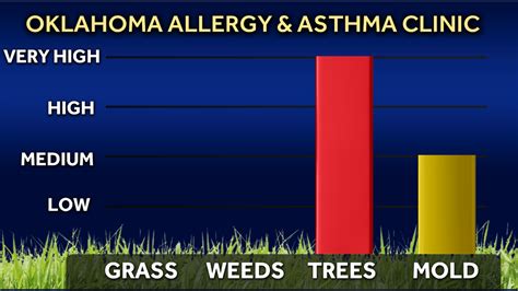 Allergy Alert: Cedar pollen at very high levels