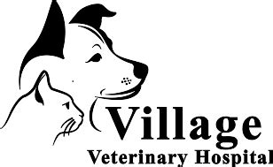 Meet The Doctors At Village Veterinary Hospital