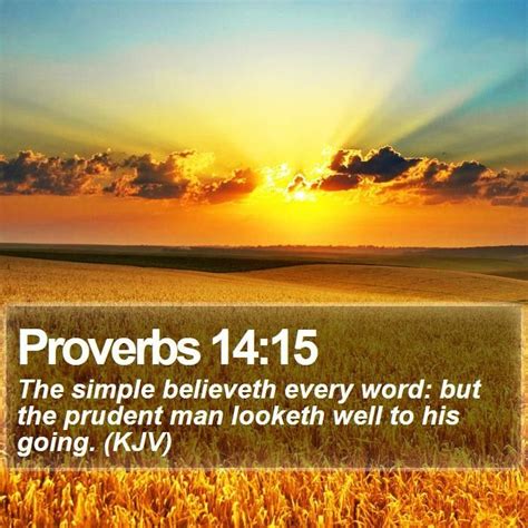 The simple believeth every word: but the prudent man looketh well to his going. ~Proverbs 14:15 ...