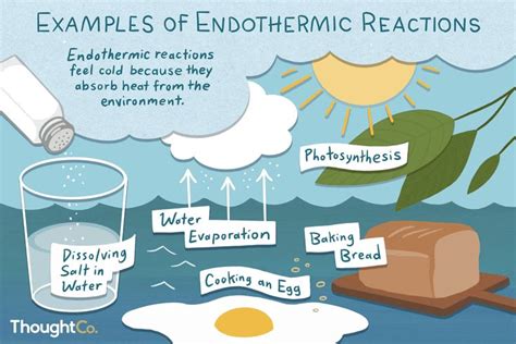 Examples of Endothermic Reactions | Cool science experiments, Reactions, Science crafts