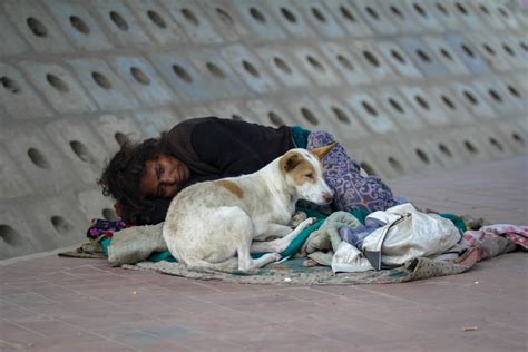 Homelessness highlights the inequality behind GDP growth numbers - TrendRadars