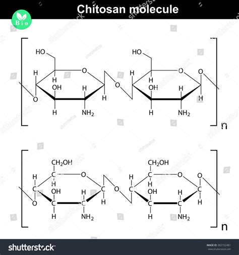 Chitosan Molecule Chemical Structure Natural Compound Stock Vector (Royalty Free) 302722481 ...