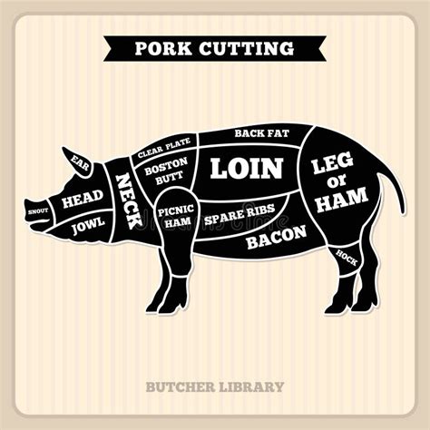 Pig Meat Cuts Diagram