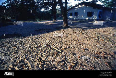 Cardoso Island, Marujá, São Paulo - Brazil Stock Photo - Alamy