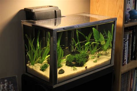 20 Gallon Long Aquarium Stand DIY