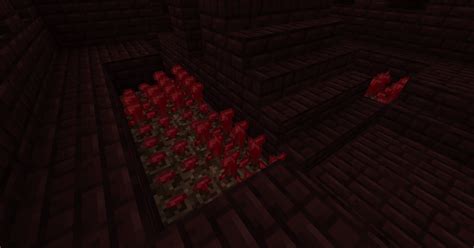 Nether Wart Farm by Badwolf101 on DeviantArt