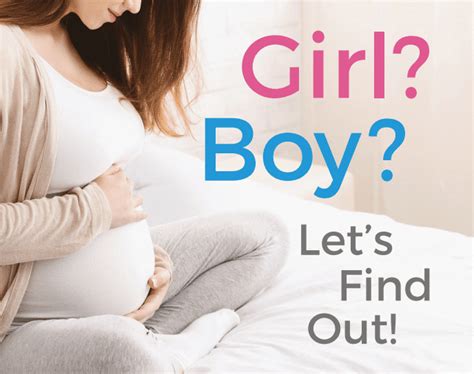 Gender Reveal Test Kit - Gender Reveal DNA Test VA ! Labstogo