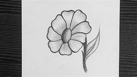 Simple Flower Drawing, Easy Flower Drawings, Beautiful Flower Drawings, Flower Sketches, Easy ...