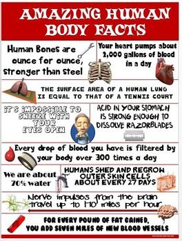 Health and Science Poster: Amazing Human Body Facts by Cap'n Pete's Power PE