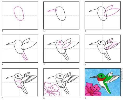 Easy How to Draw a Hummingbird Tutorial Video and Hummingbird Coloring ...