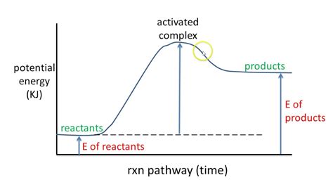 Endothermic Potential Energy Diagram