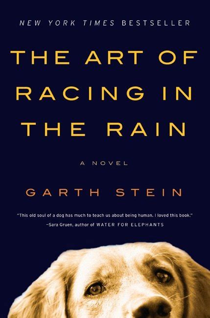 The Book Blog of Evil: The Art of Racing in the Rain, by Garth Stein