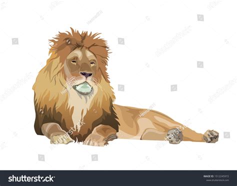 Lion Lying Down Image Vector Illustration Stock Vector (Royalty Free ...