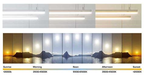 All-In-One Guide To Tunable White LED Lighting - LEDdynamics