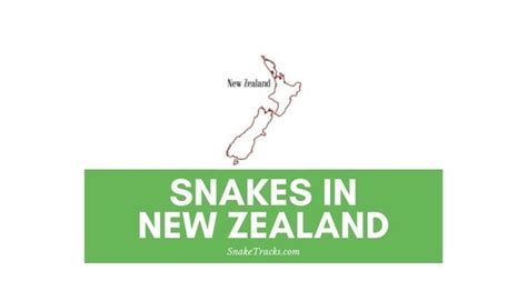 Snakes in New Zealand (2 Species) - SnakeTracks.com