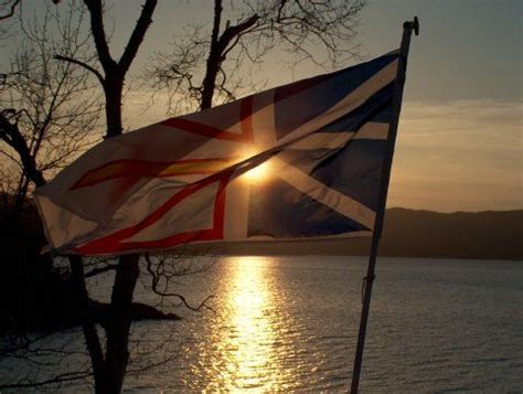 Newfoundland Flag | Newfoundland, Newfoundland flag, Newfoundland canada