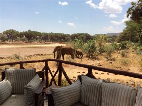 Top Luxury Safari Lodges in Kenya that Are Worth A Visit | Drink Tea & Travel