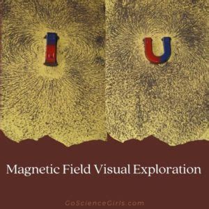 How to Use Iron Filings to See Magnetic Field