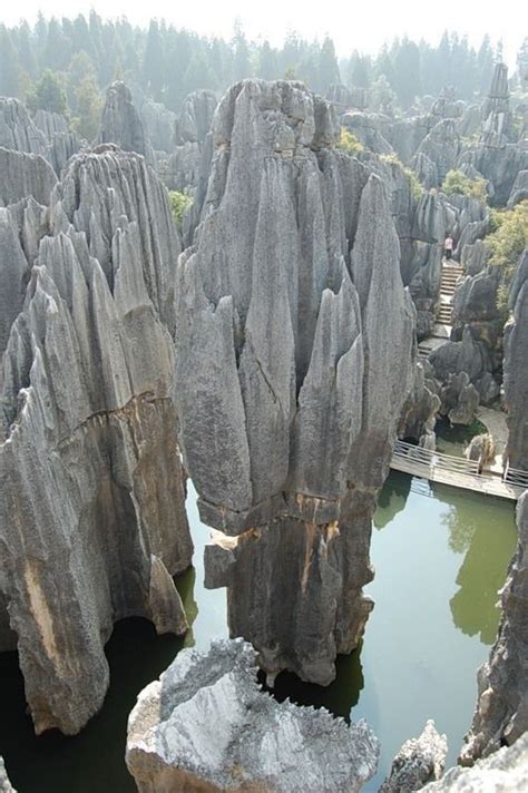 Stone Forest National Geological Park Naigu Scenic Area National park ...