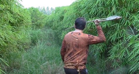 Hunter Pursues Feral Hogs With an Atlatl - Wide Open Spaces