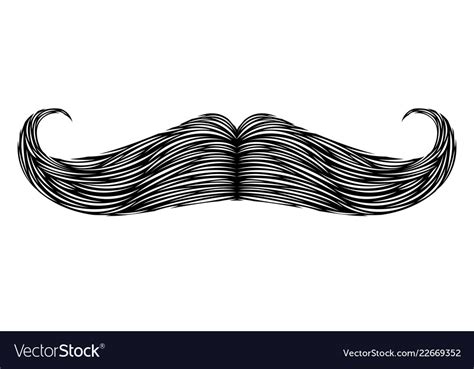 Isolated detailed mustache Royalty Free Vector Image