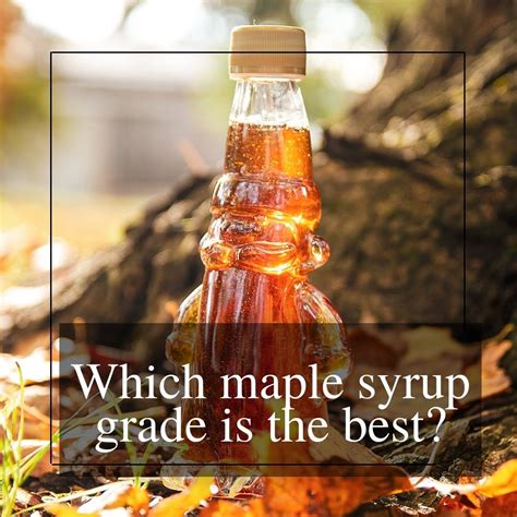 Which maple syrup grade is the best? – Jakeman's Maple Syrup