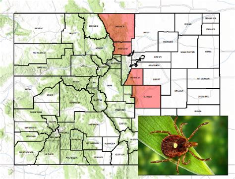 Colorado Tick-Borne Disease Awareness Association (COTBDAA) - Education, Prevention, Research ...