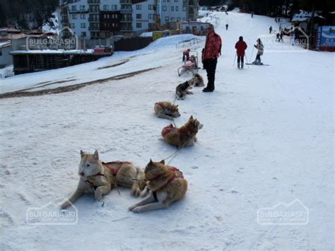 Pamporovo ski centre, food, drinks and nightlife report from Bulgaria