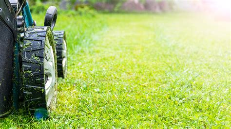 Texas man drowns while mowing lawn near river, investigators say | Fox News