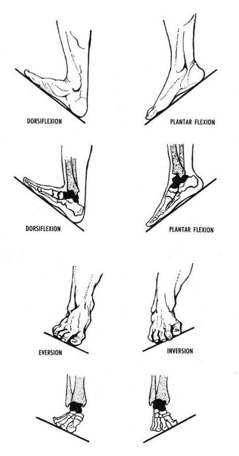 Correcting feet imbalances. #mobility #joints #balance #Mobilityexercises | Human anatomy and ...