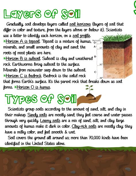 Soil (part 2) ~ Anchor Chart * Jungle Academy Science Notes, Learning Science, Science Facts ...