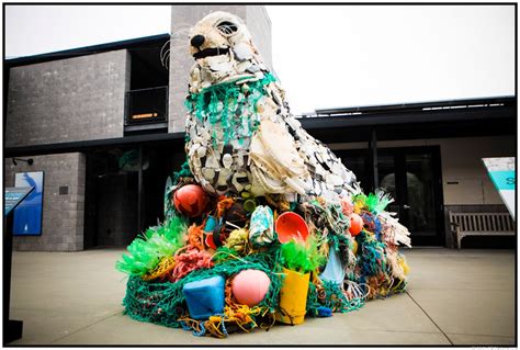 Plastics, sea life, and art wash ashore (photos) - CNET