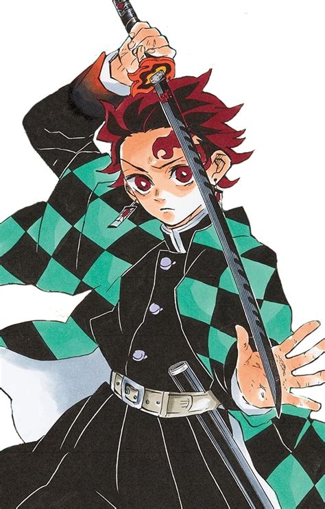 Kimetsu No Yaiba Tanjirou - Solomontdf