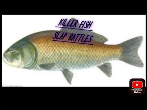 Killer fish Slap Battles (funny) - YouTube