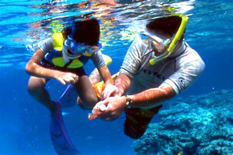 Snorkeling | Zamami Island | Kerama Islands