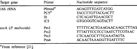 Primers used in the synthesis of digoxigenin-labelled probes by PCR ...