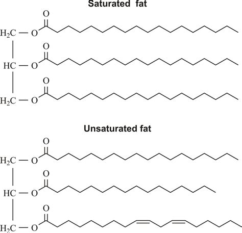 Unsaturated Fatty Acid Molecule