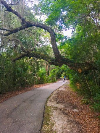 The Top 10 Things to Do in Palm Coast 2017 - Must See Attractions in Palm Coast, FL | TripAdvisor