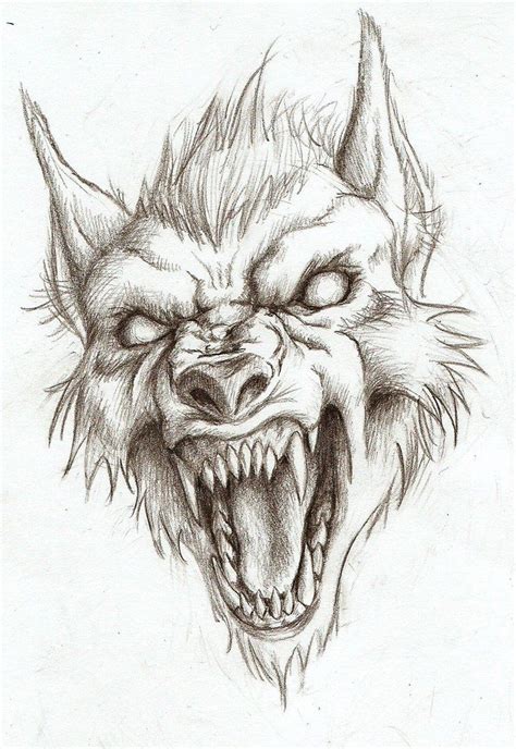 Ferocious werewolf by ArtisticDane | Werewolf art, Werewolf drawing, Sketches