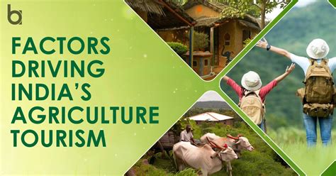 Agro Tourism: The Rising Sustainable Industry of India