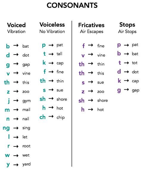 A TOUCH OF ENGLISH: VOICELESS AND VOICED CONSONANTS CHART | Speech language pathology grad ...