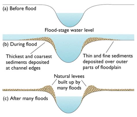 River Floodplain Diagram