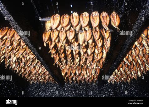 Smoked Kippers in Smoking Kiln Craster Northumberland Stock Photo - Alamy