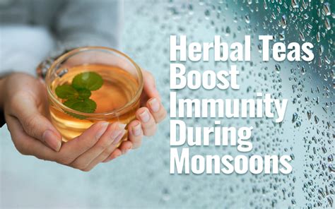 The Best Herbal Teas for Boosting Immunity During Monsoons – Golden ...