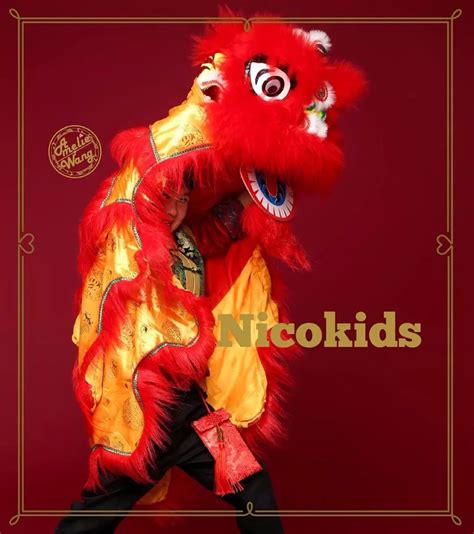 Aliexpress.com : Buy Premium Kids Size Lion Dance Performance Lion Dance Costume from Reliable ...