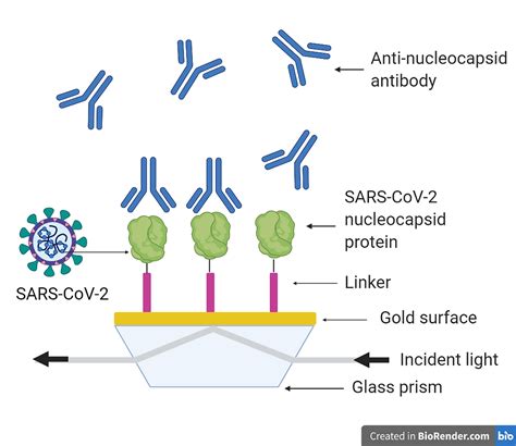 SPR for Enriching Synthetic Biology Research