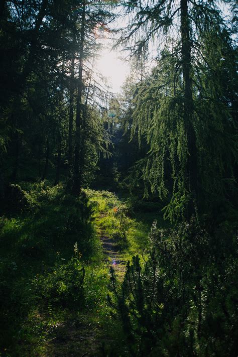 Dachstein Hike on Behance